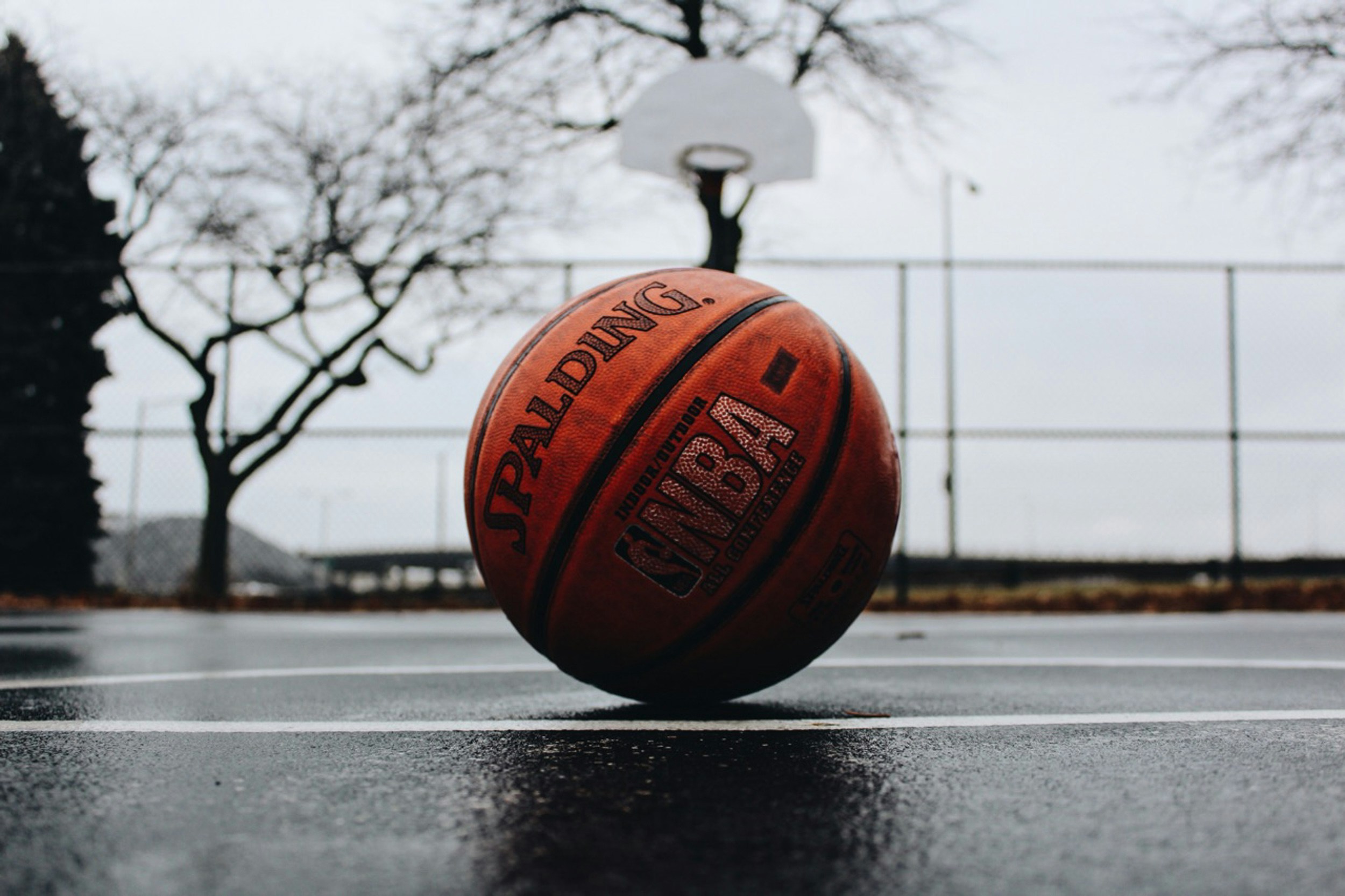 The Global Journey of Basketball: From Court to Community