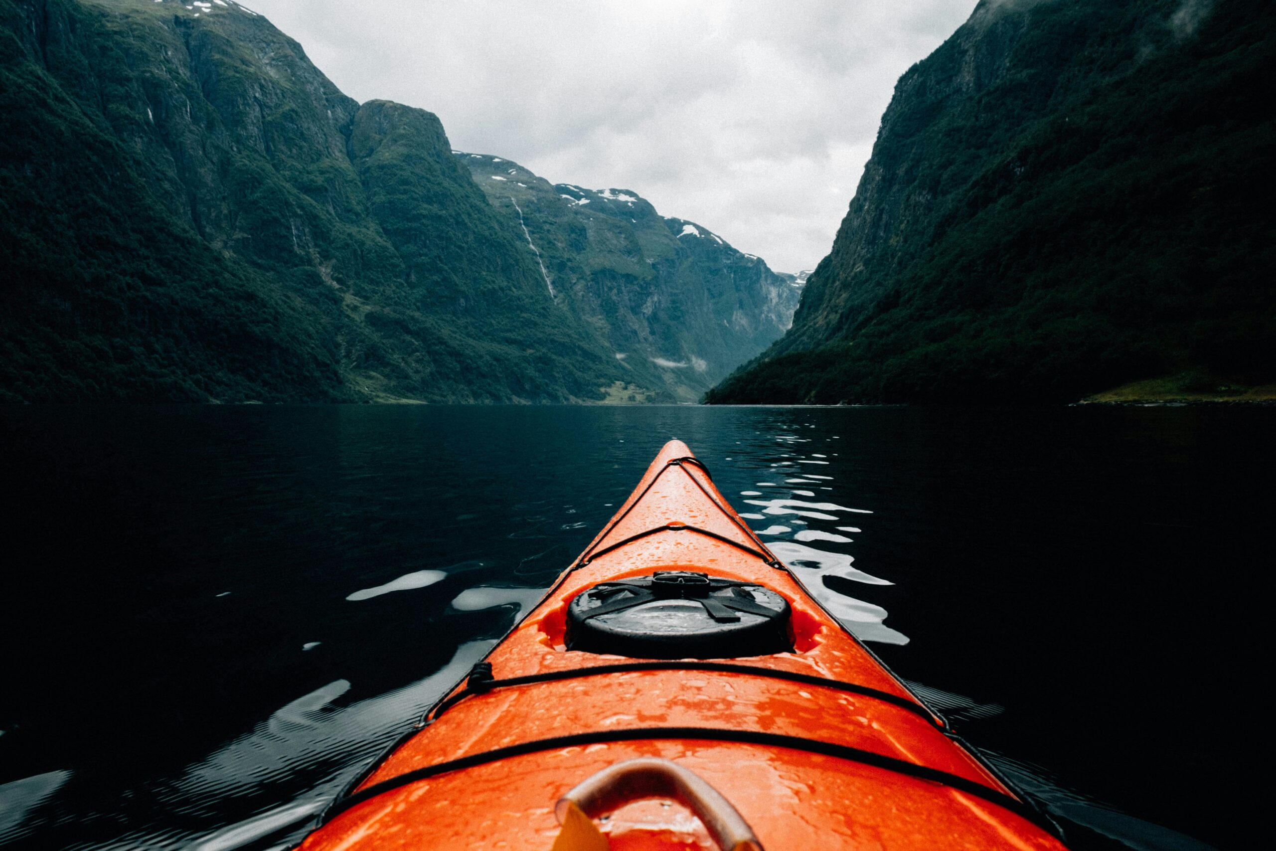 In the Jaws of a Whale: The Extraordinary Survival Story of a Kayaker